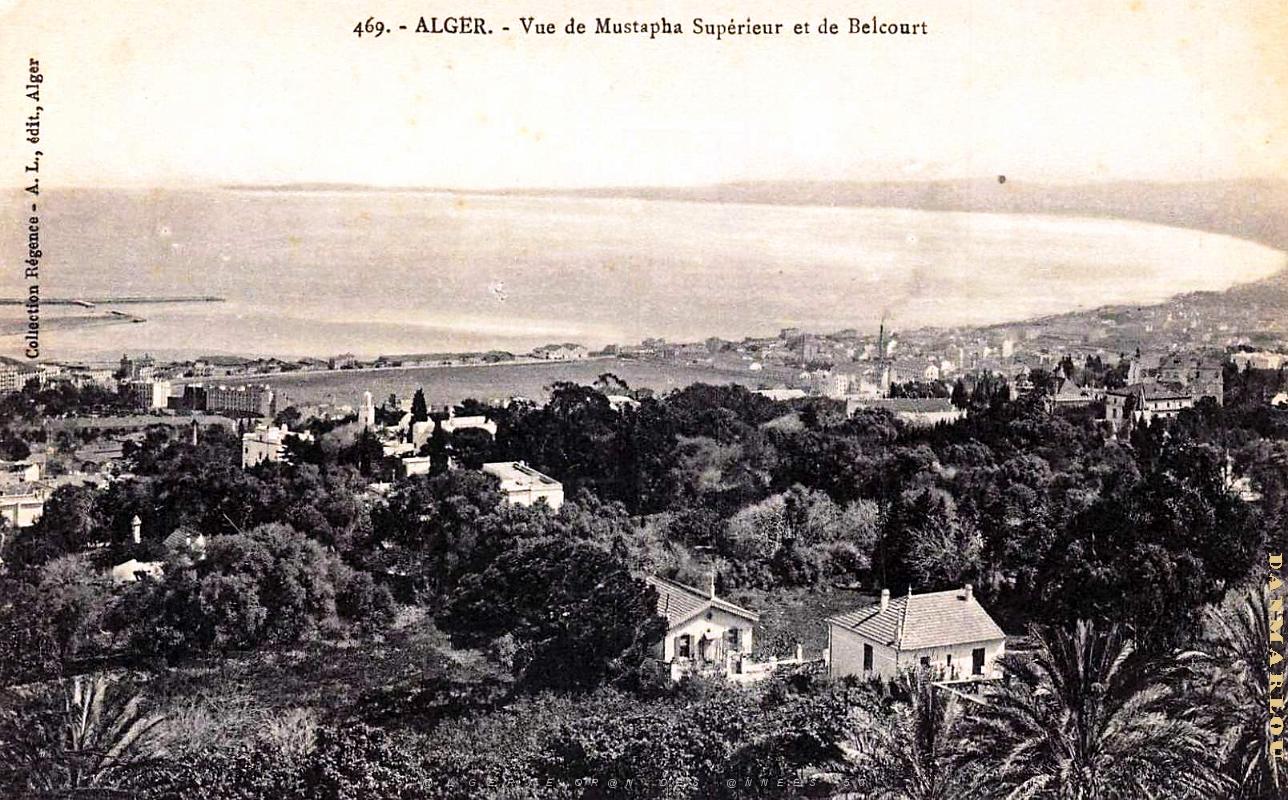 Alger - Vue de Mustapha-Superieur et de Belcourt.jpg